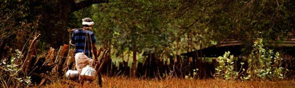 TREKKING ODISHA 11 Trekking Odisha 7